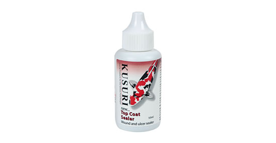 Top Coat Sealer