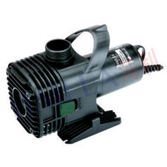 Rainbow water pumps on sale